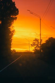 Beautiful orange and yellow sunset over a winding road lined with trees, capturing the serene natural landscape.