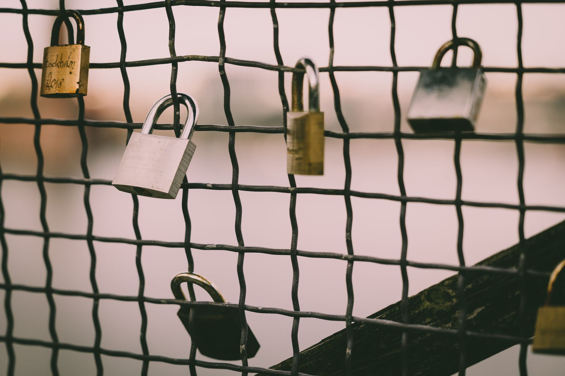 Close-up of romantic love padlocks hanging on a metal wire mesh fence by a river.
