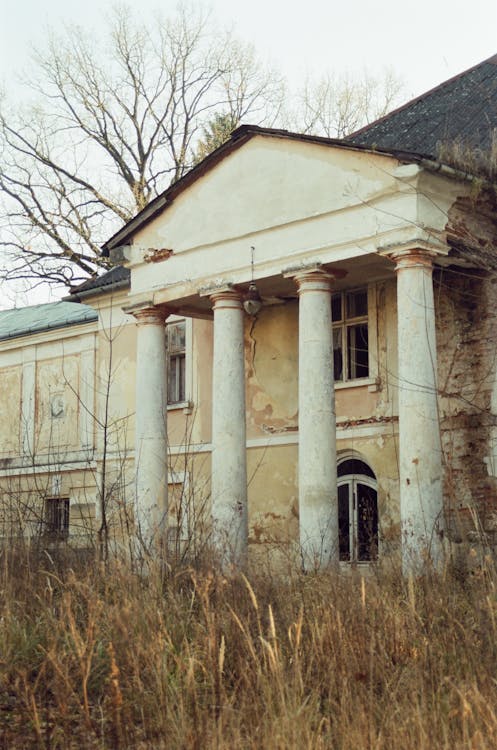 Leafless Trees in Front of an Abandoned Concrete Building