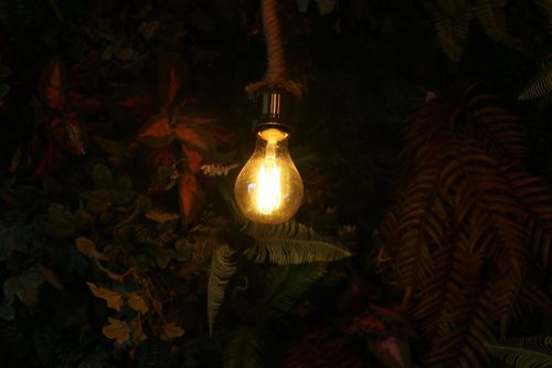 Free stock photo of dark, interesting, light Stock Photo
