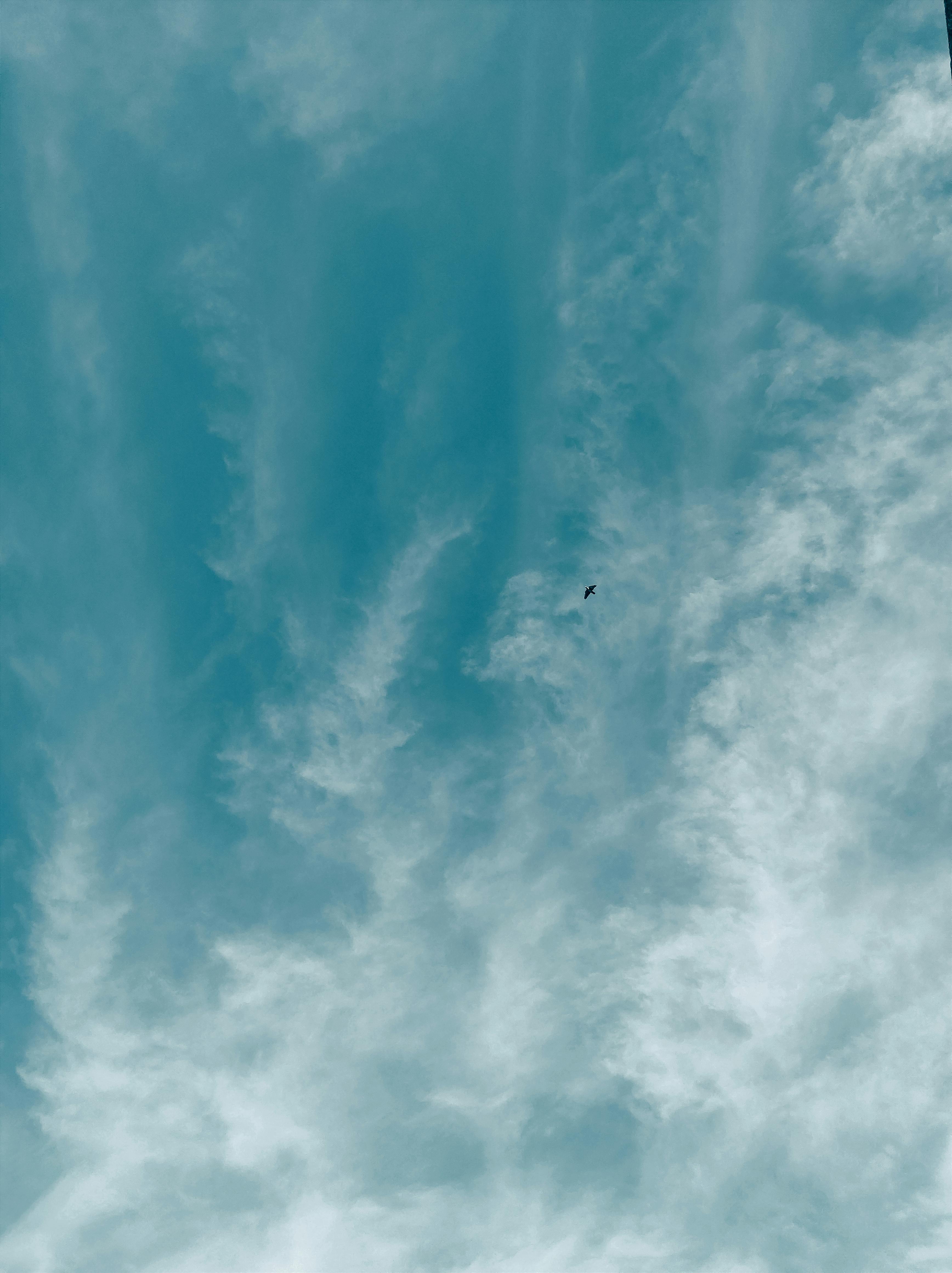A tranquil view of a blue sky with swirling clouds and a solitary bird flying high above Belo Horizonte.