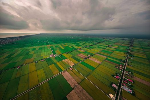 A captivating aerial view of Tanjung Karang's rural landscape with vibrant green fields under a dramatic sky.