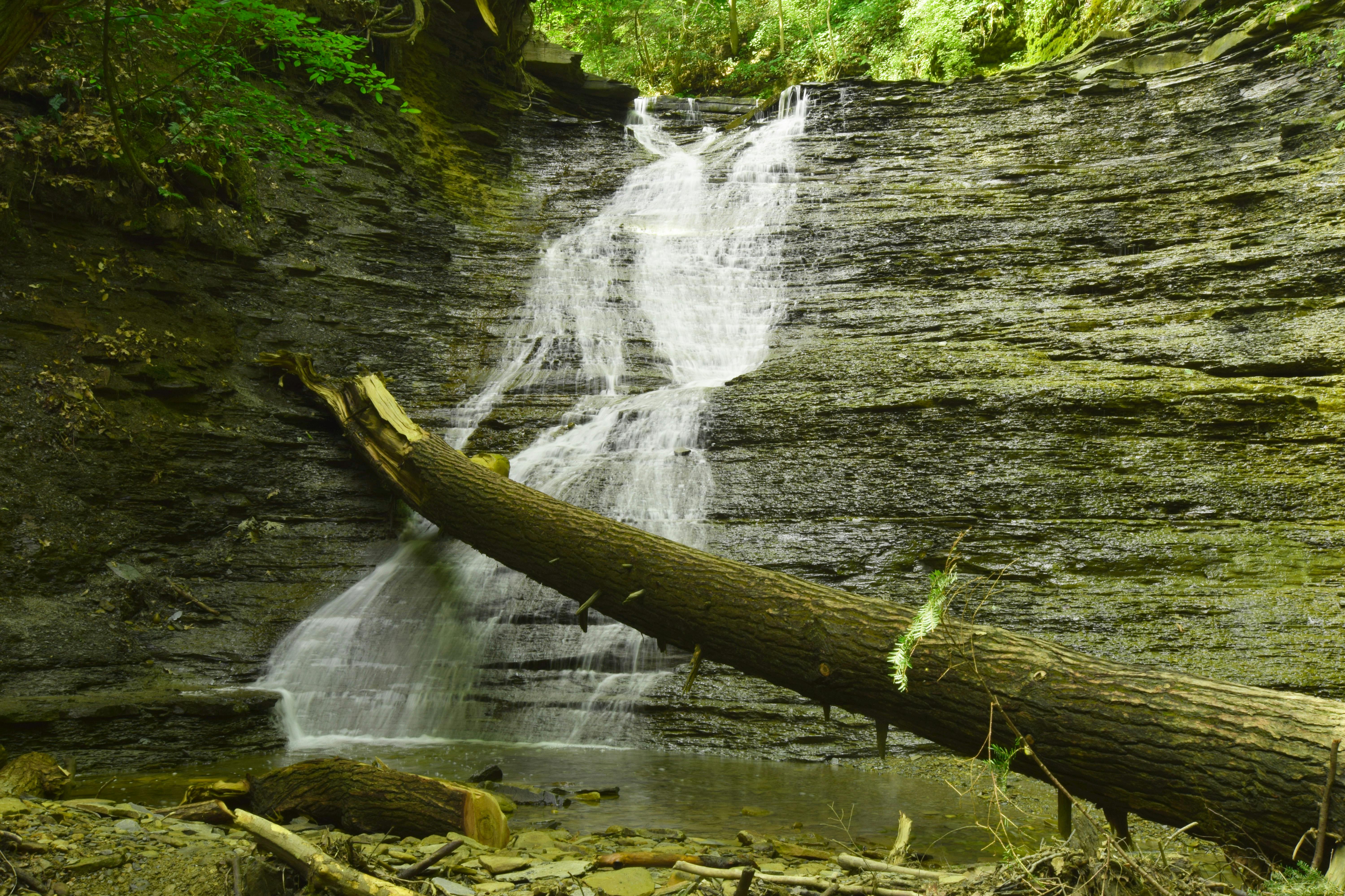 Free stock photo of green, nature, rocks