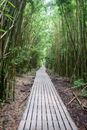 Brown Wooden Pathway Between Green Grass