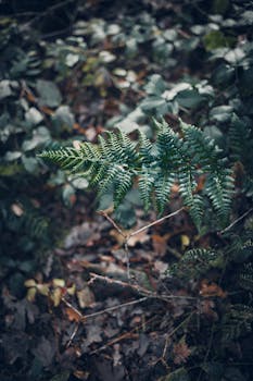 Image by Jochem te Pas