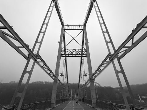 Free A Suspension Bridge in Black and White Stock Photo