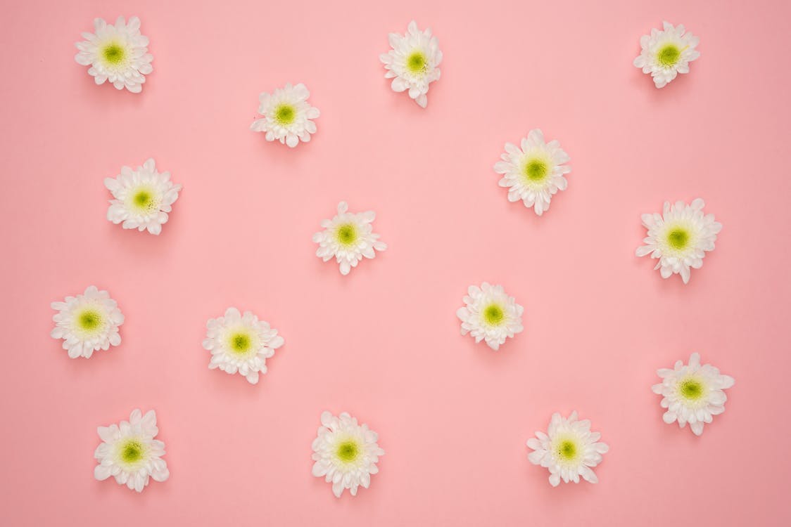 ピンクの壁に白と黄色の花