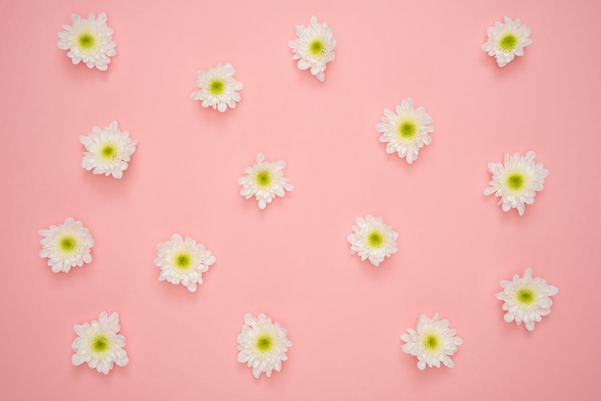 Spring Background Photos, Download The BEST Free Spring Background ...