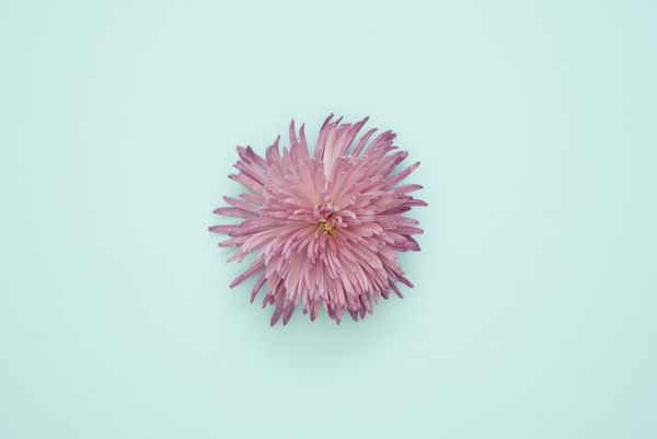 Cosmetics close-up
