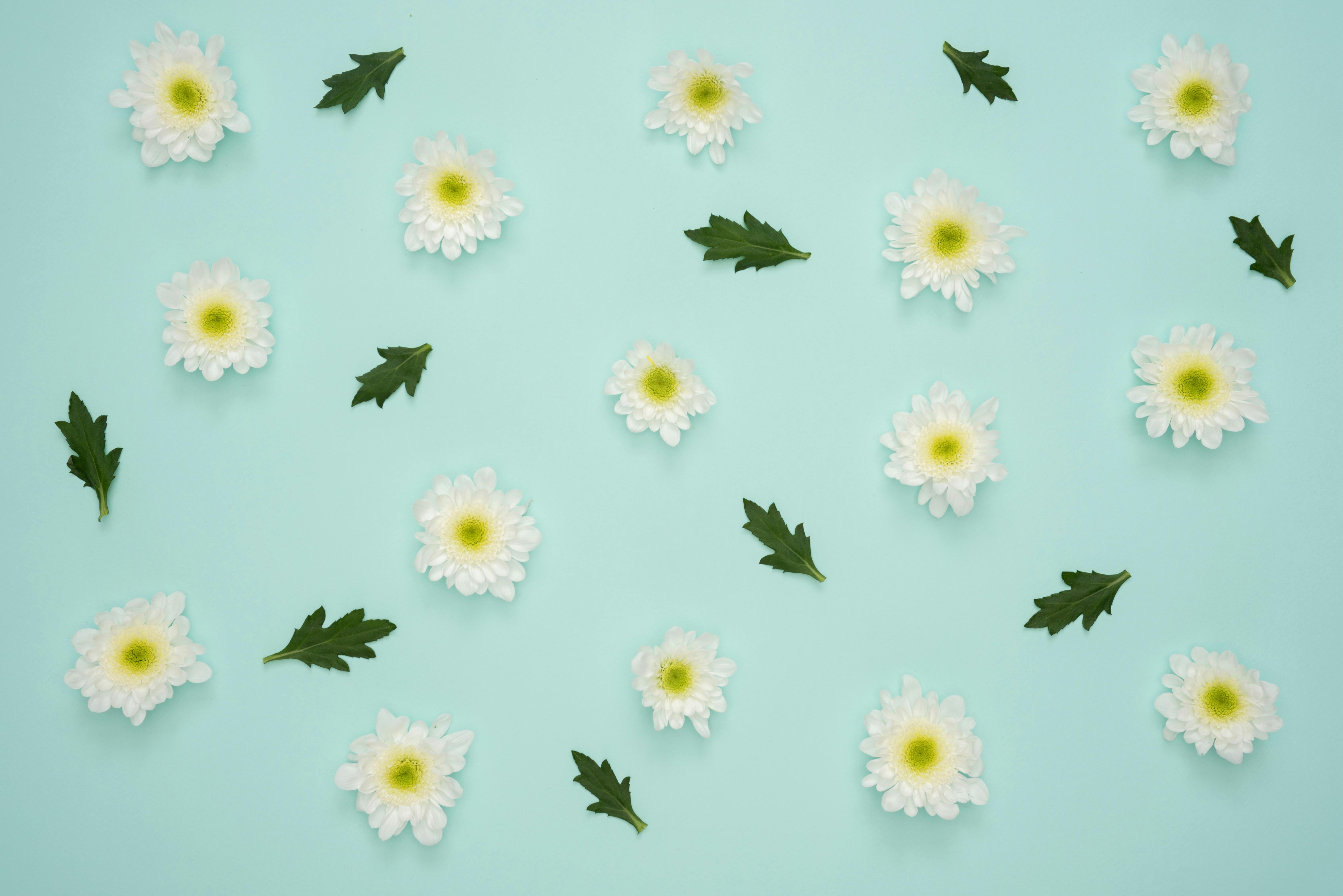 1000+ Great Flower Background Photos · Pexels · Free Stock Photos