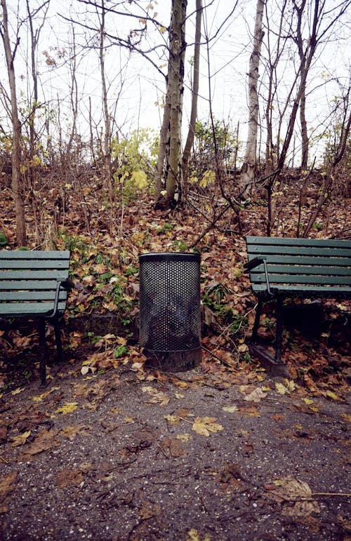 bezplatná Základová fotografie zdarma na téma lavička v parku, odpadkový koš, podzimní barvy Základová fotografie