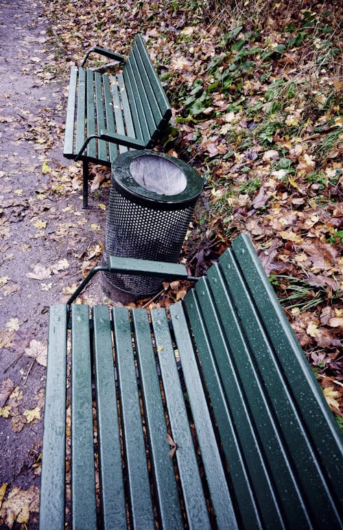 bezplatná Základová fotografie zdarma na téma lavička v parku, odpadkový koš, podzimní barvy Základová fotografie