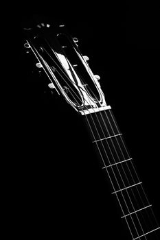 High contrast black and white image of a guitar headstock with strings and tuning pegs.