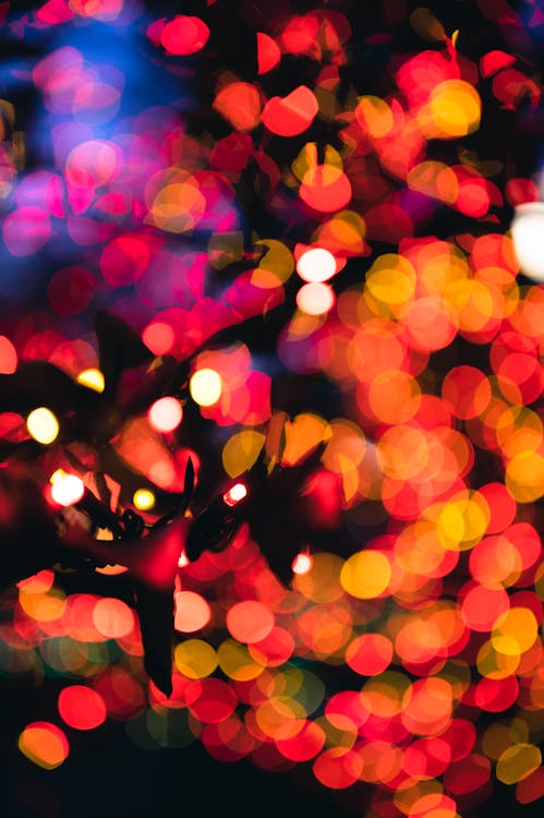 Red and Yellow Bokeh Lights on Background · Free Stock Photo