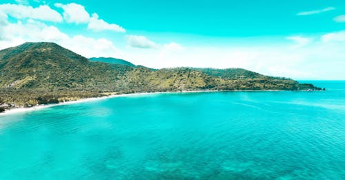 Fotografía Aérea De La Isla Rodeada De árboles Verdes