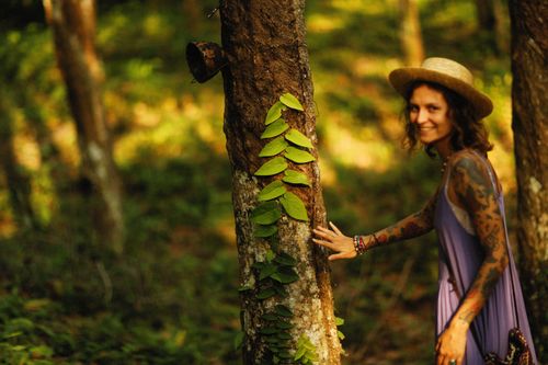 Free A woman with tattoos enjoys nature, touching a tree in a sunlit forest. Stock Photo