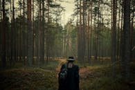 Unrecognizable Person in Hat and Coat Entering Imposing Pine Forest 