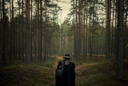 Unrecognizable Person in Hat and Coat Entering Imposing Pine Forest 