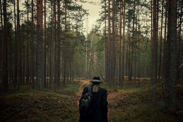 Unrecognizable Person In Hat And Coat Entering Imposing Pine Forest 