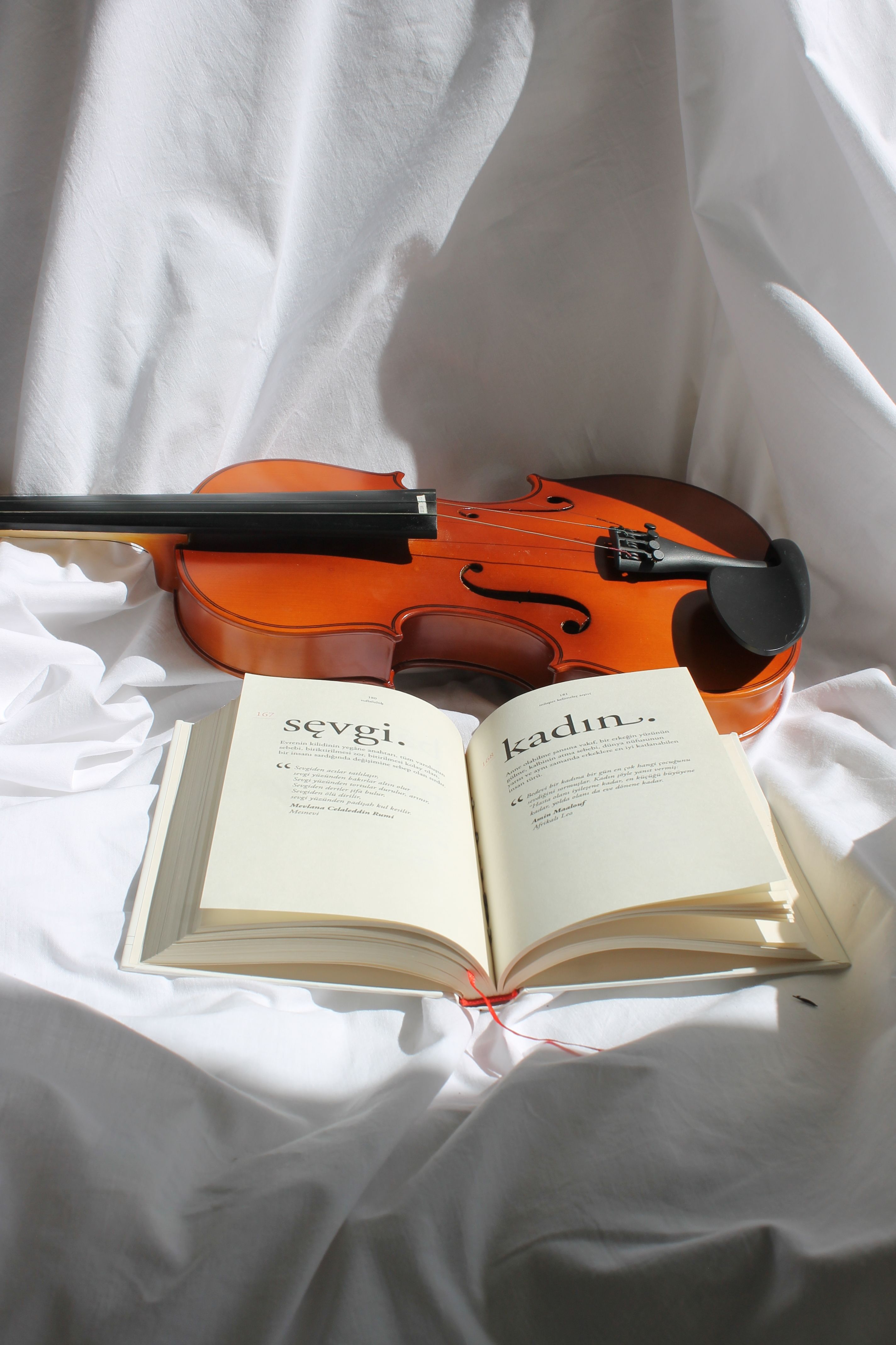 Stringless Instruments Photos, Download The BEST Free Stringless ...