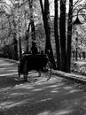 Grayscale Photo of Man Sitting on Bench in the Middle of the Road