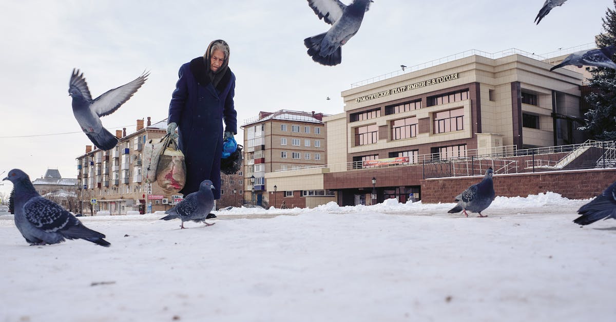 ภัยเงียบจากมูลนกพิราบ: หญิงสูงวัยปอดอักเสบจากเชื้อราโดยไม่รู้ตัว