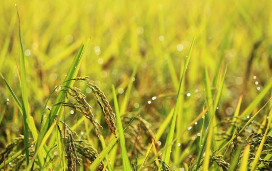 Photo related to the tragic suicide of a Tata Steel manager's family in Jharkhand.  A heartbreaking incident that has shaken the nation.