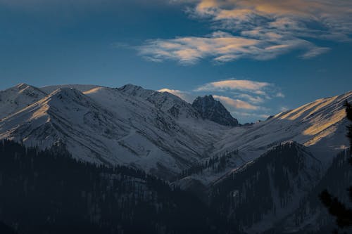 Kostenloses Stock Foto zu berge, drohne erschossen, holz