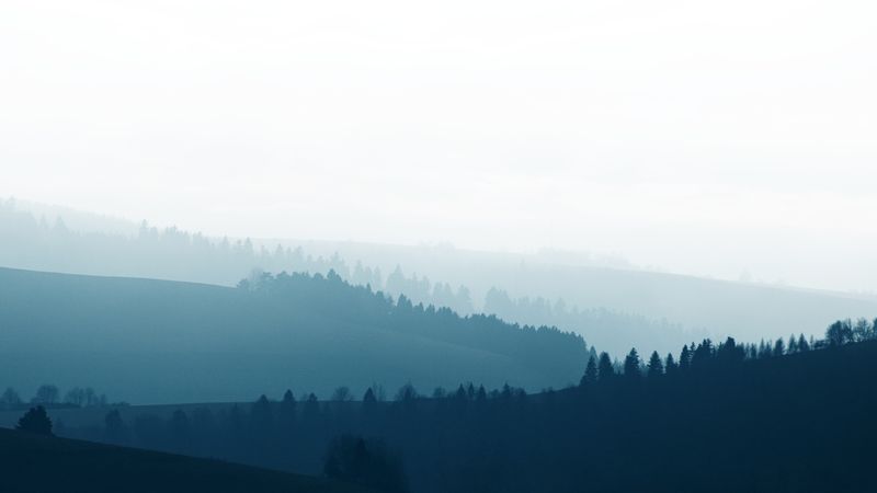 Layered misty hills and forest silhouettes at first light — photo by Adrian Regeci on Pexels