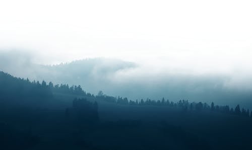 シルエット, 山岳, 木の無料の写真素材