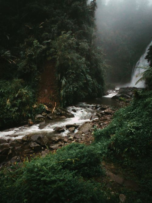 Free Tranquil forest stream flowing with a waterfall, perfect for nature's serenity lovers. Stock Photo
