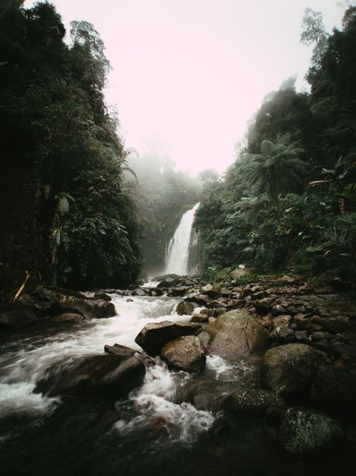 Free Dramatic waterfall surrounded by lush greenery and rocks in a forest setting. Stock Photo