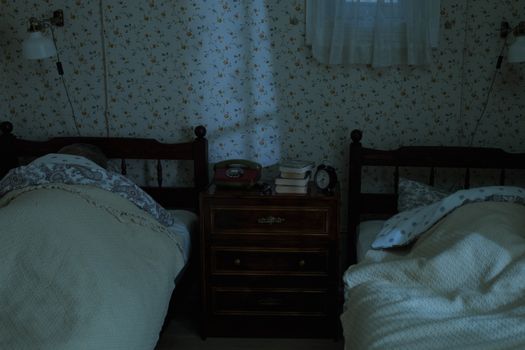 A vintage bedroom setting with two people sleeping under dim lighting, creating a tranquil nighttime feel.