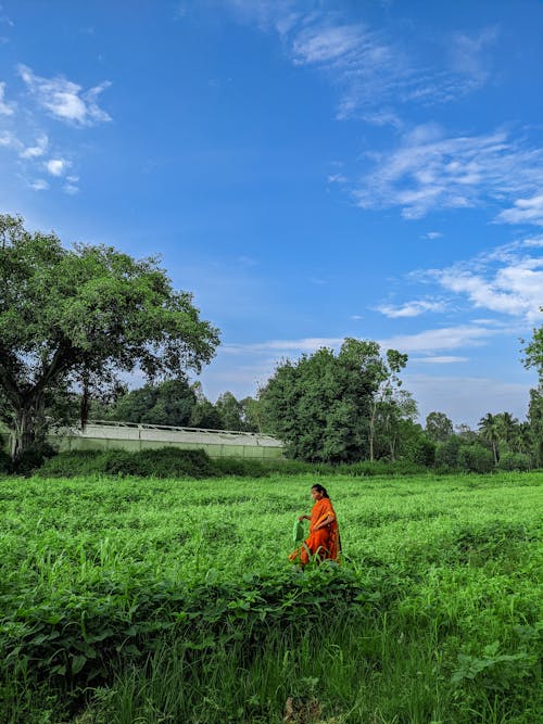 Long Shot of Woman standinig on a Plantation