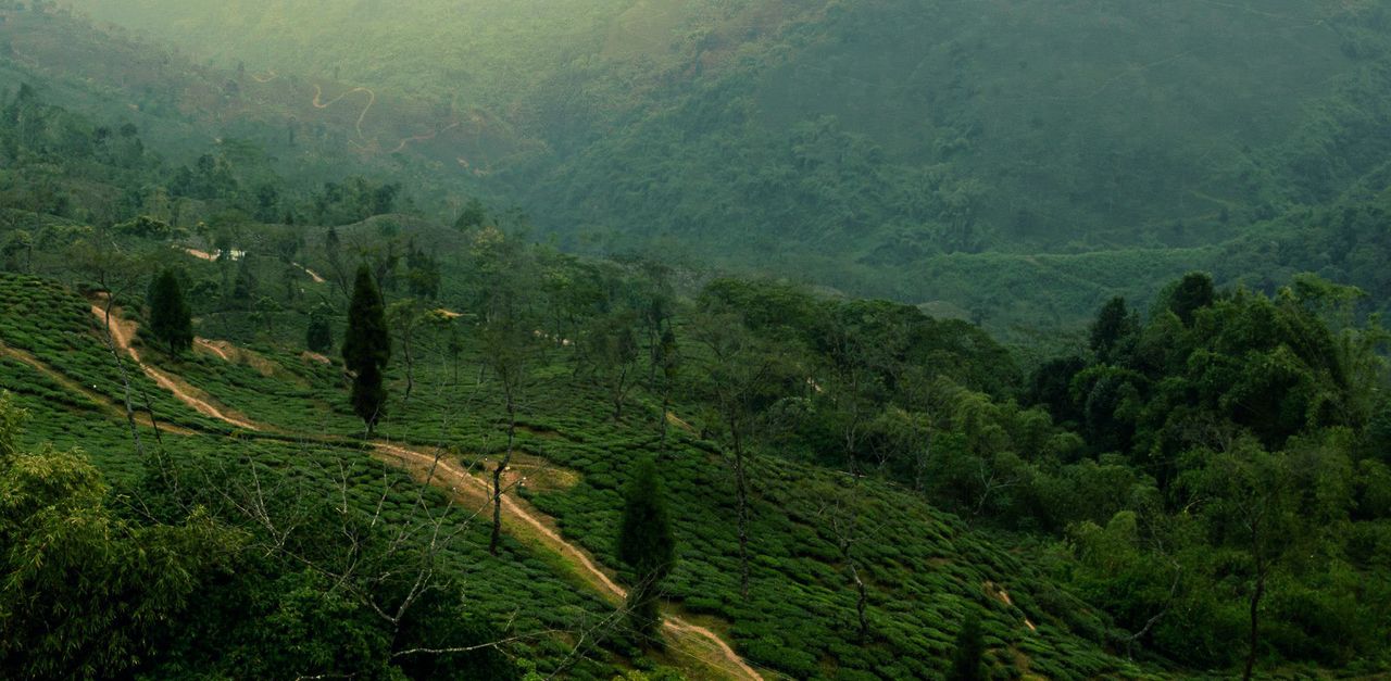 Bengala Occidentale