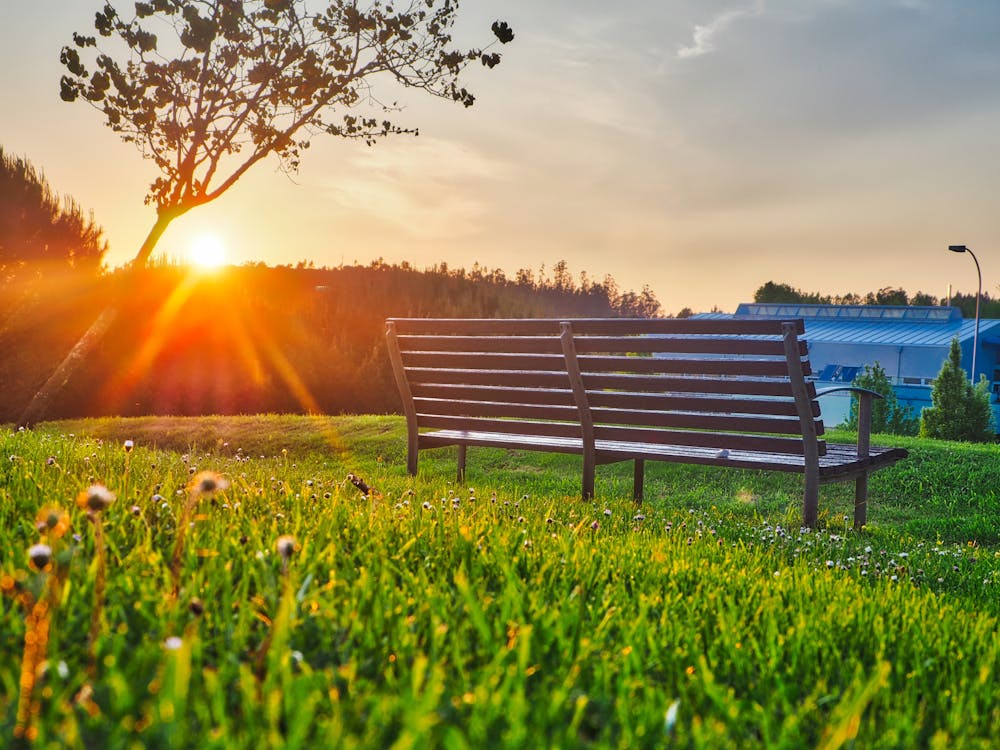 бесплатная Коричневая скамейка на зеленой траве Стоковое фото