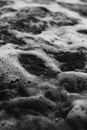 Foam in Black and White
