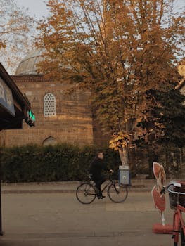 A cyclist rides by a historic building on a street lined with autumn trees.