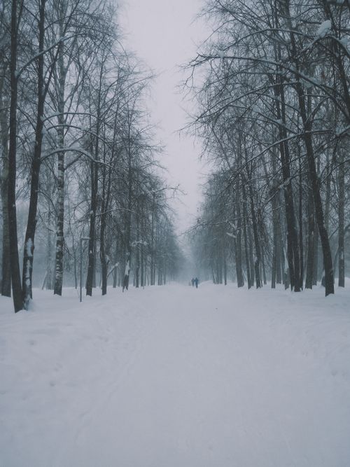Free Serene winter scene with a snowy road flanked by bare trees in Kirov, Russia. Stock Photo