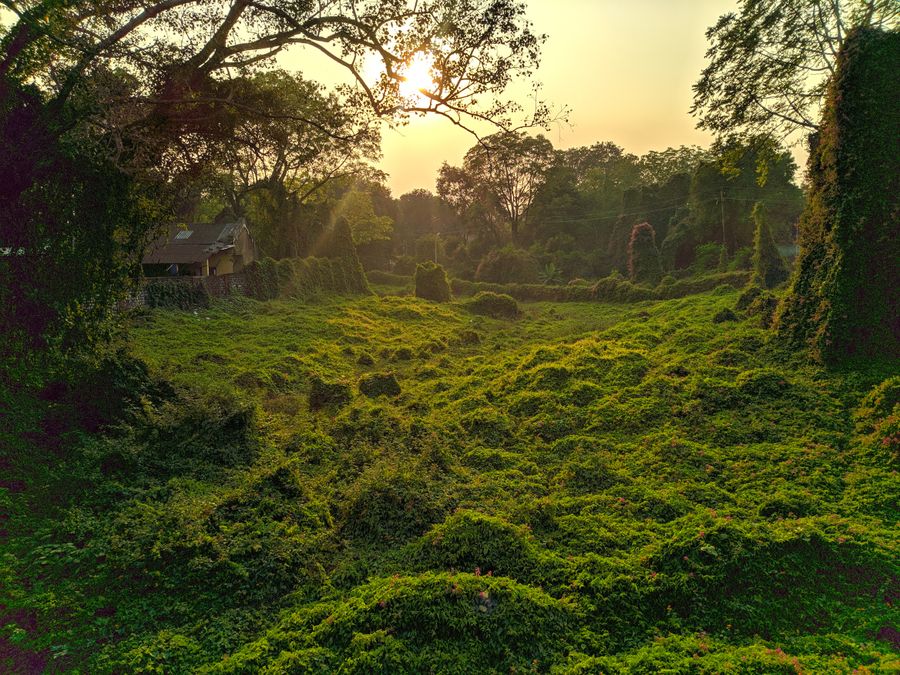 Pachmarhi photo 6