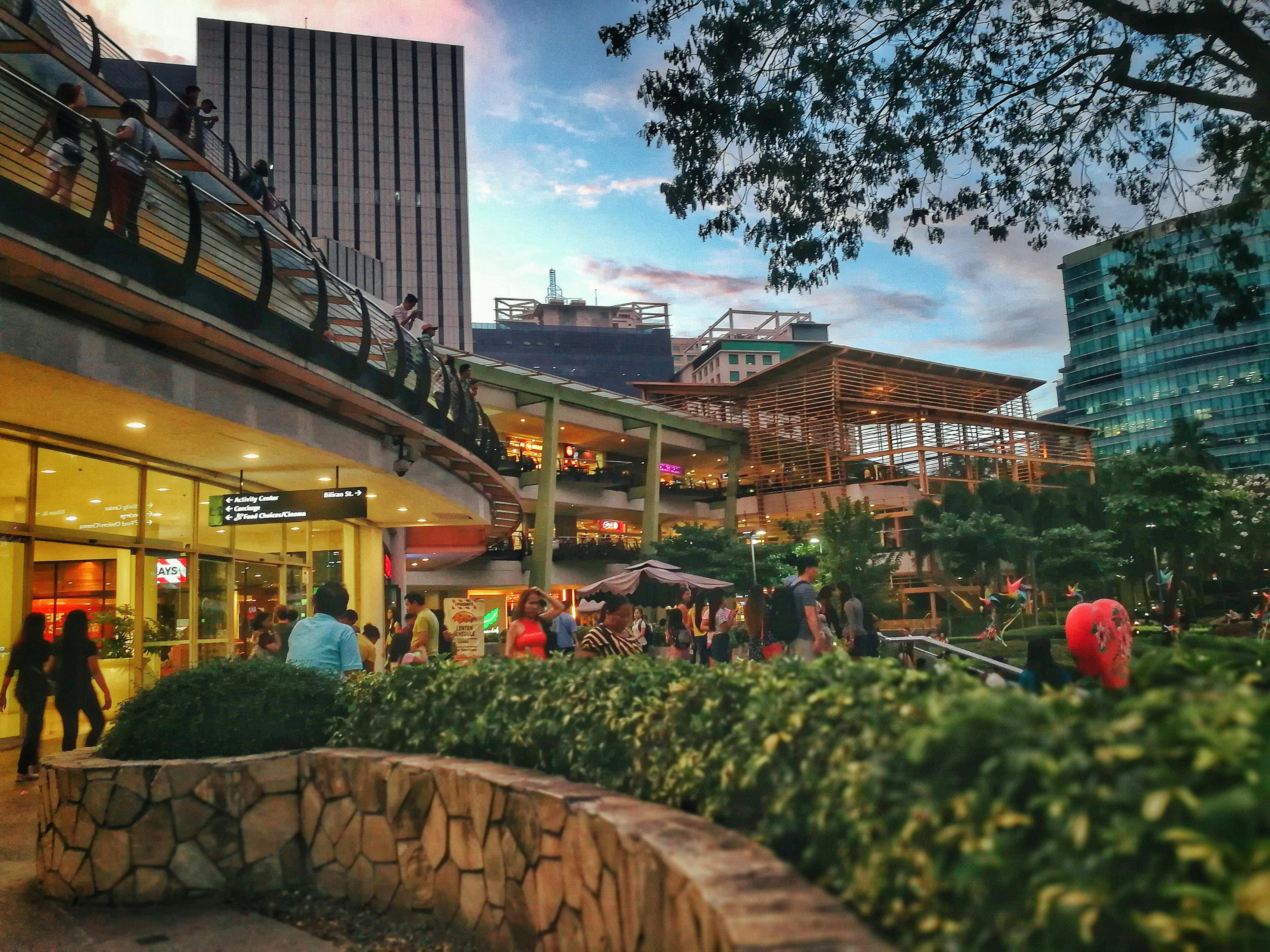 Free stock photo of Cebu, dusk, garden
