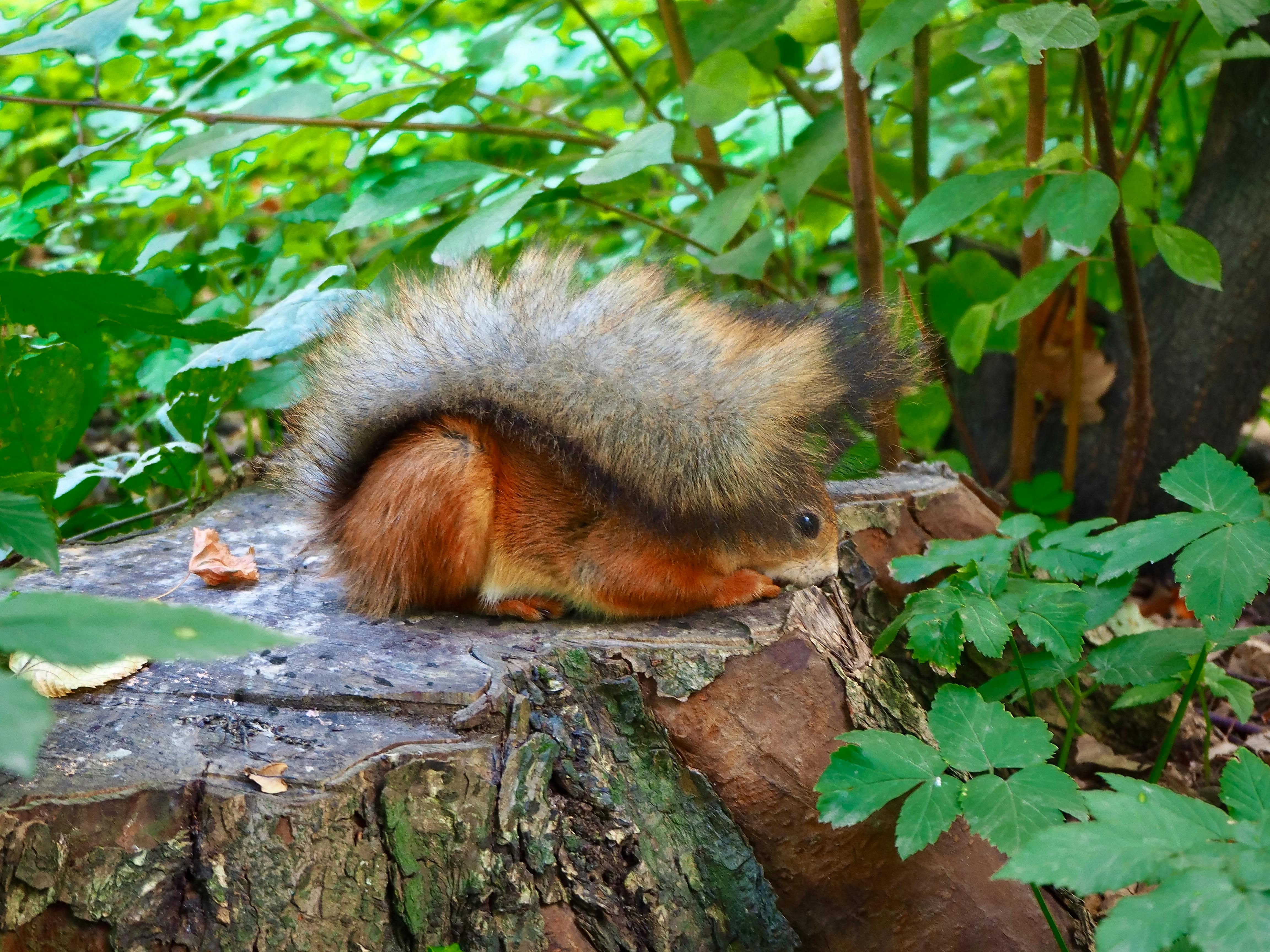 Personnes discutant de la politique technologique