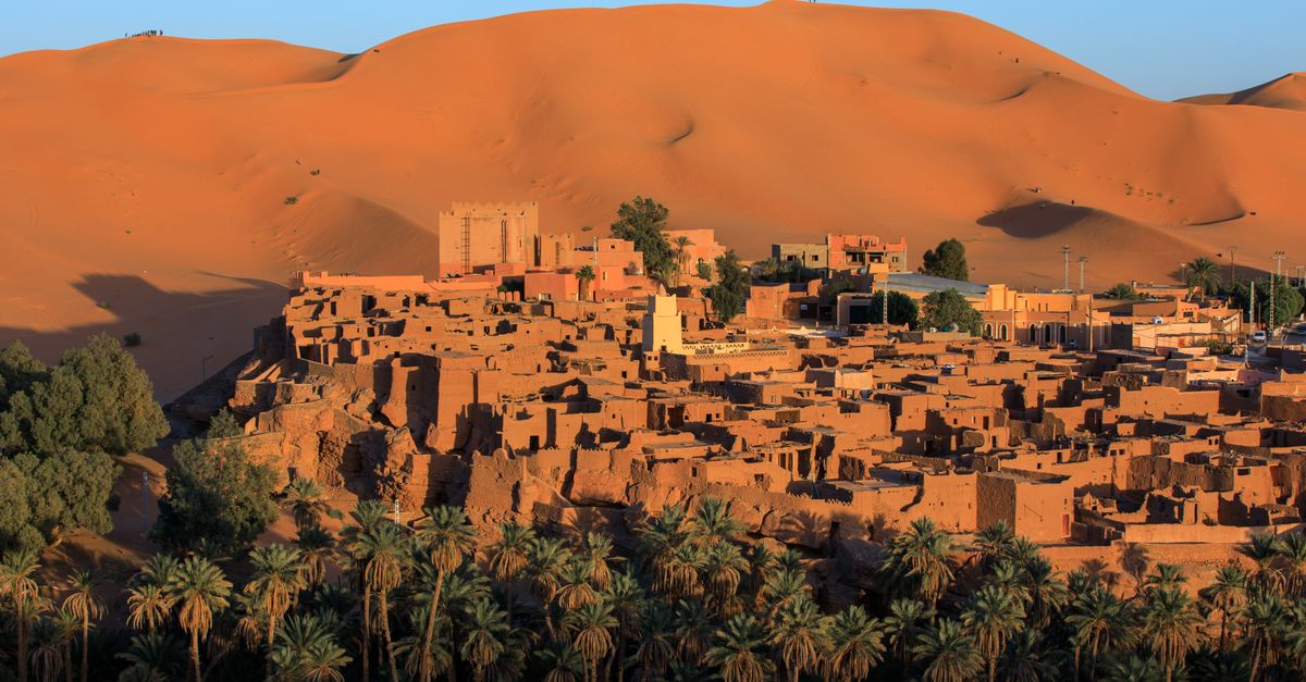 oasis