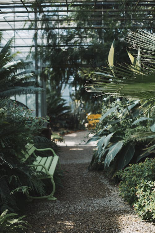 Botanical Garden Greenhouse Interior 