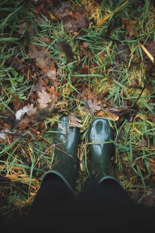 Безкоштовне стокове фото на тему «гумові чоботи, ліс, осінній ліс»