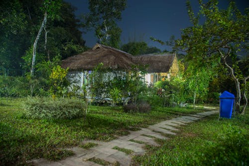 Základová fotografie zdarma na téma čajová zahrada, letovisko balishira, srimongol