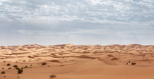 Drone Shot of Sand Dunes on a Desert