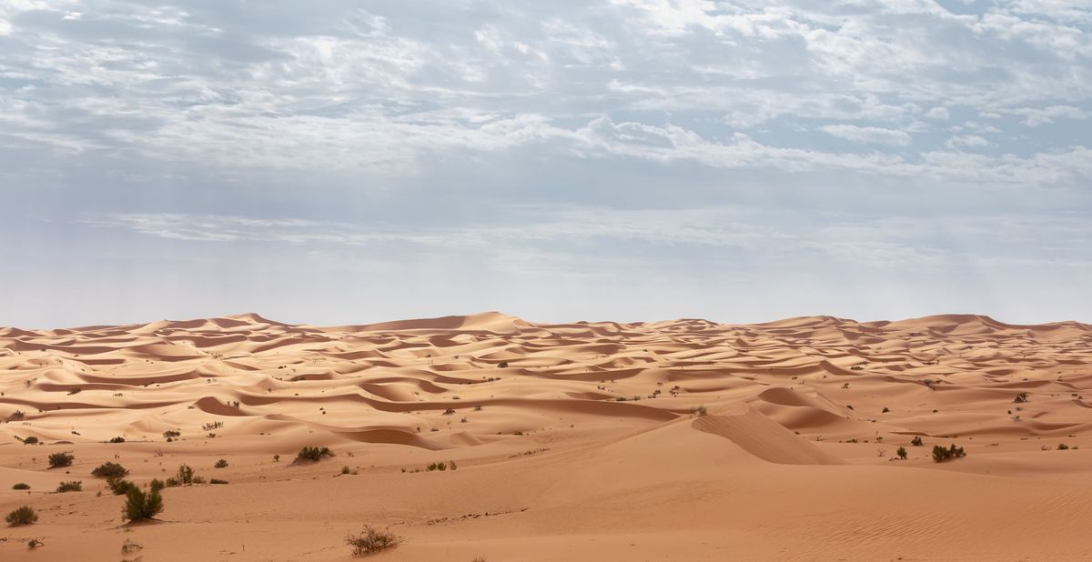 Deserto do Saara no Marrocos — Merzouga e as dunas de Erg Chebbi 2026 Dunas douradas do deserto do Saara em Merzouga, Marrocos, com camelos ao pôr do sol — experiência imperdível para quem vai viajar ao Marrocos em 2026