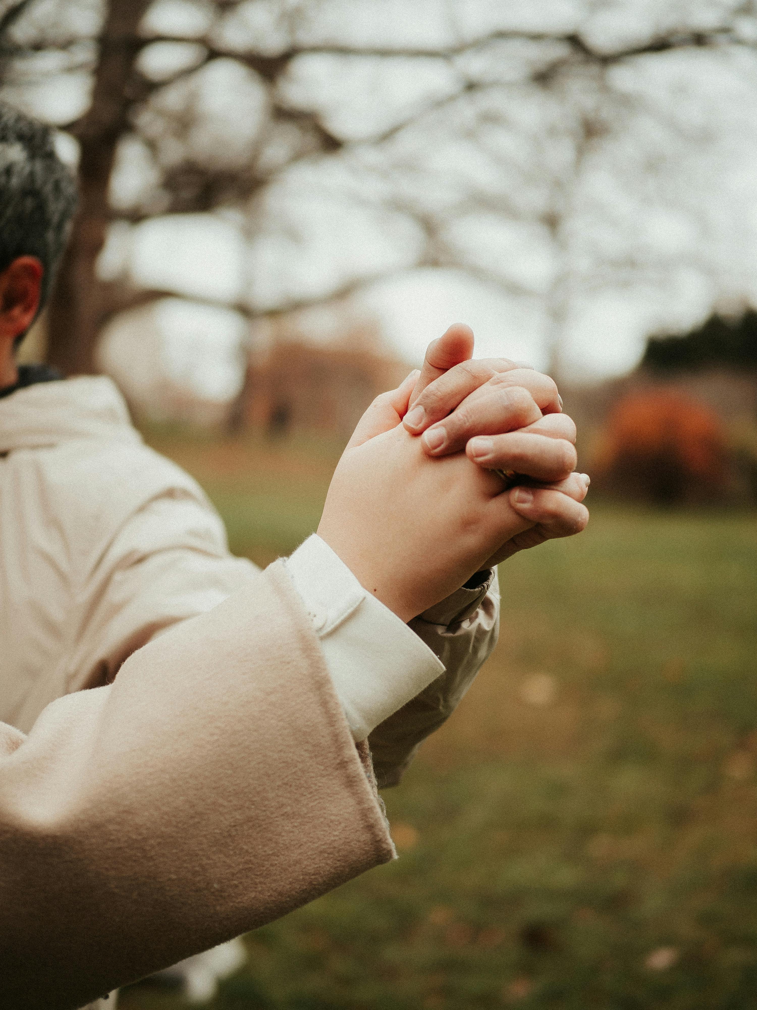 Eine traditionelle japanische Koto mit Saiten und Brücken.