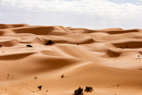 View on a Dunes in a Desert